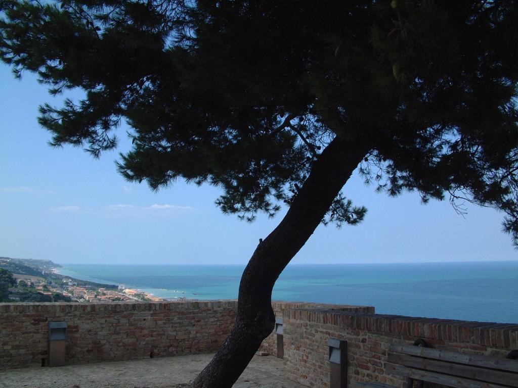 Hotel Capital Cupra Marittima Dış mekan fotoğraf